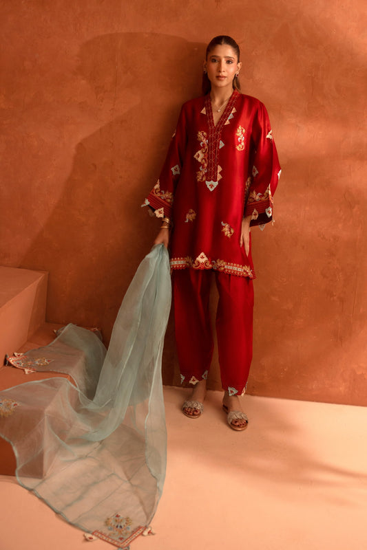 Woman in a red traditional outfit with a light blue dupatta against a brown background