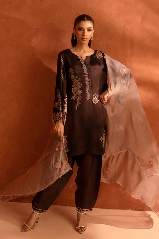 Woman wearing a dark brown embroidered outfit with a sheer dupatta against a warm-toned background
