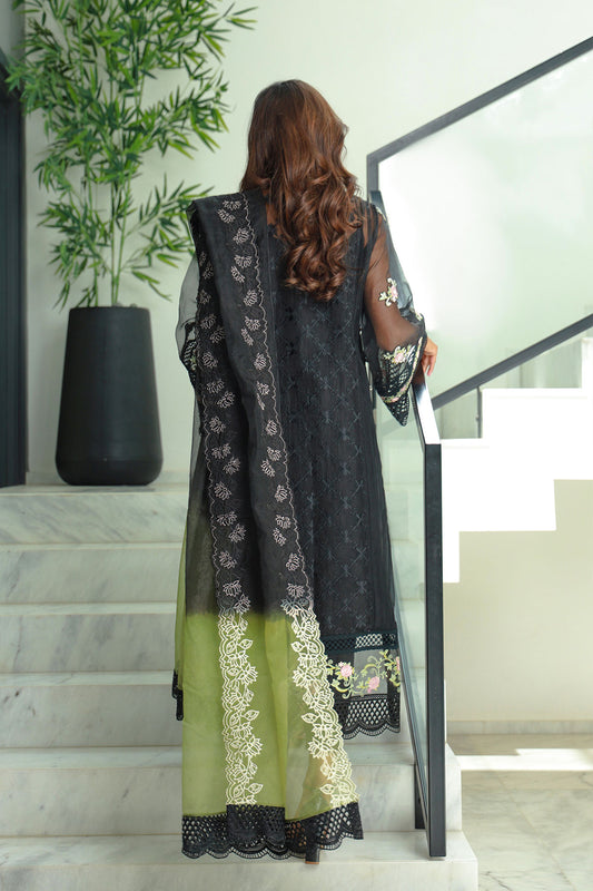 Black Haze Dupatta